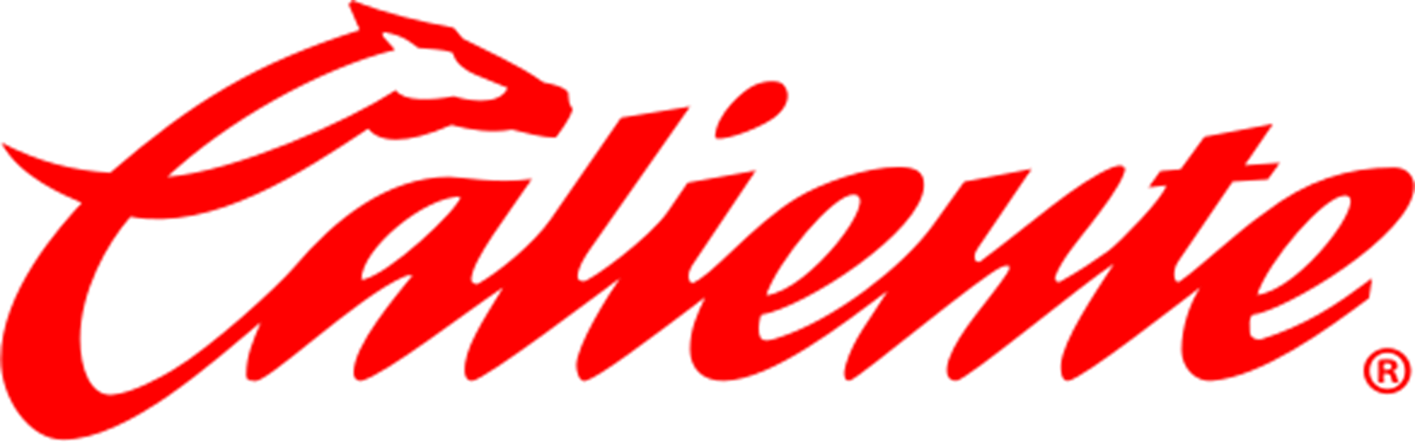 calientecasinl.com Logo